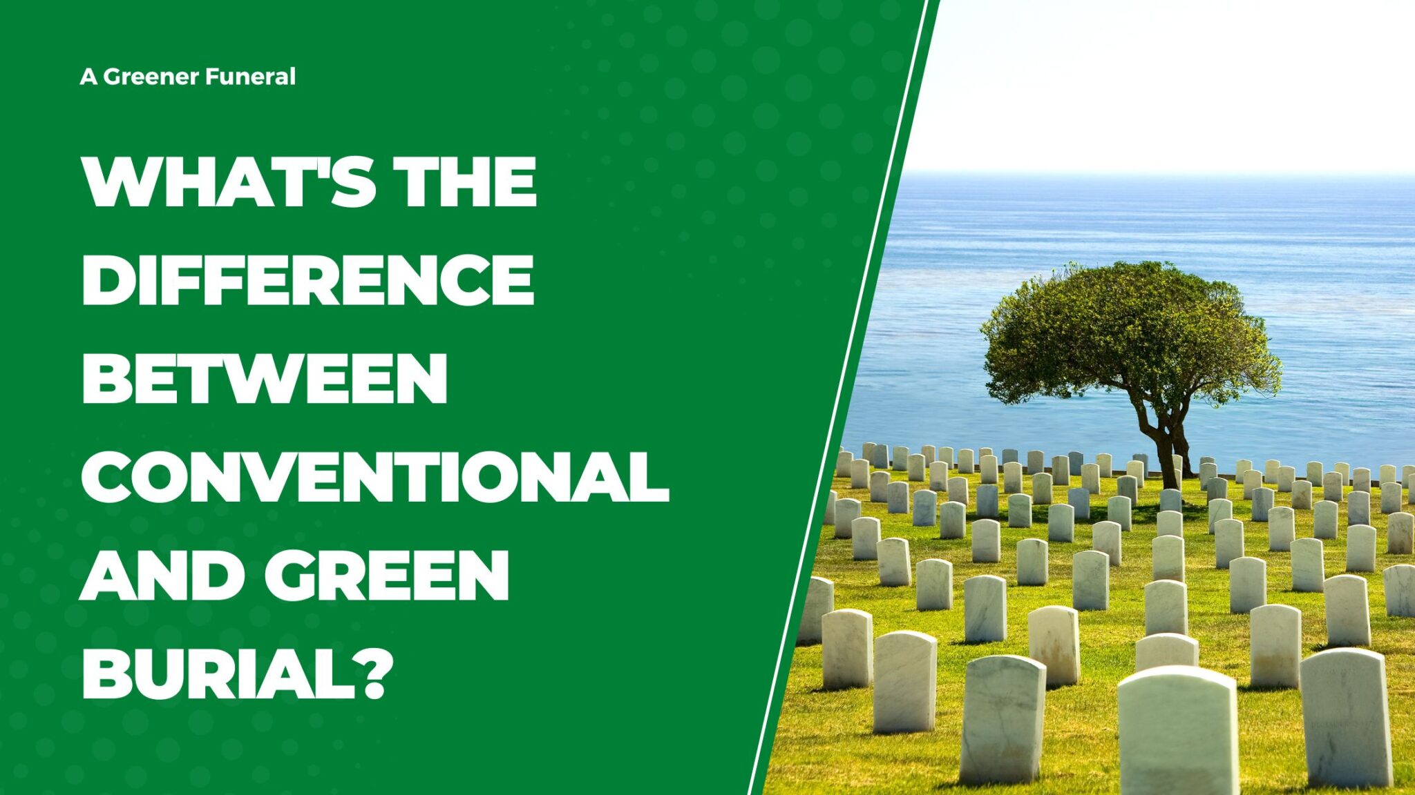 Conventional Vs. Green Burial: What’s The Difference? - A Greener Funeral